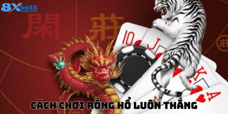 Cách chơi rồng hổ Casino 8xbet chi tiết từng thao tác