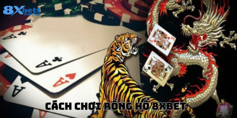 cách chơi rồng hổ Casino 8xbet