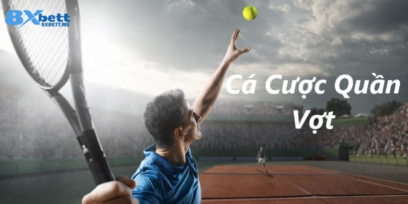 Đánh giá về chất lượng cá cược quần vợt 8xbet