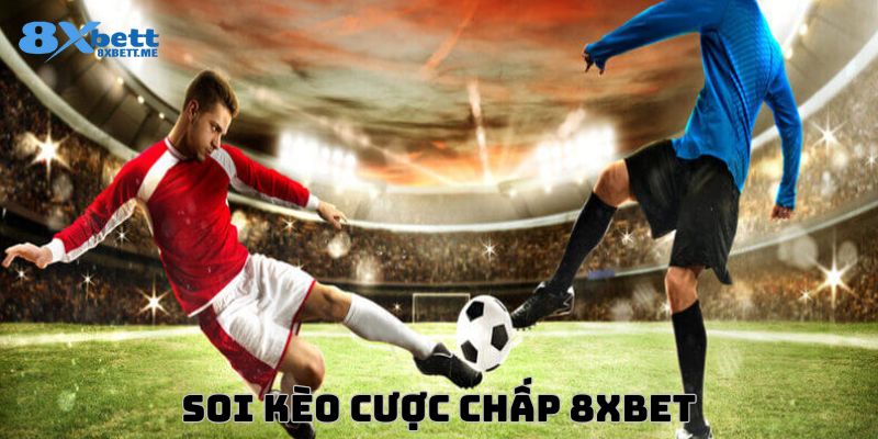 Mẹo bắt kèo cược chấp tại cá độ bóng đá 8xbet hiệu quả