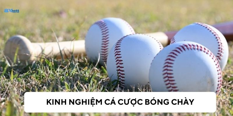 Các mẹo chơi cá cược bóng chày hay bạn nên biết