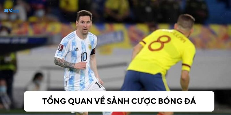 Sảnh cược bóng đá tại 8xBet