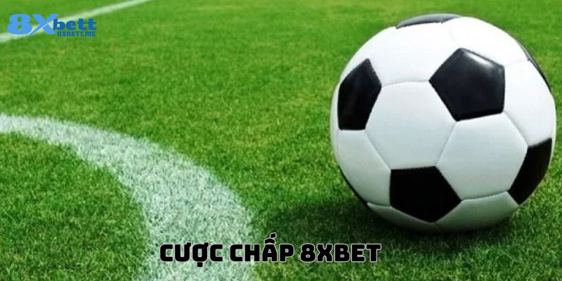 cược chấp 8xbet là gì