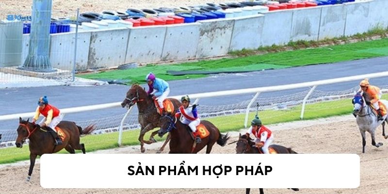 Cá cược hợp pháp tại 8xBet