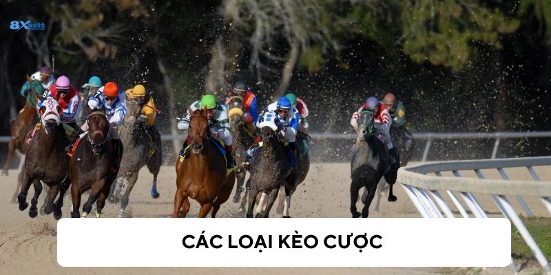 Có nhiều loại kèo cược khác nhau