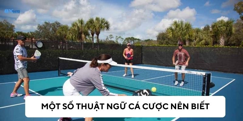 Các thuật ngữ thông dụng trong cá cược quần vợt